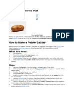 How Potato Batteries Work