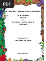 Cami Cat and Cuckoo Bird Lesson Plan Detailed Project