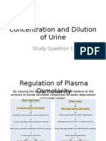 Concentration and Dilution of Urine