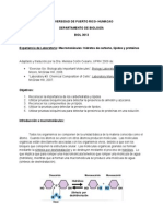 Carbohidratos, Lipidos y Proteinas