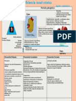 Historia Natural de La Insuficiencia Renal Cronica