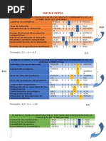 Matriz Peyea Ferreyros