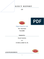 Project Report: Mapro Food Pvt. LTD