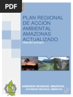 Plan de Accion Ambiental Amazonas