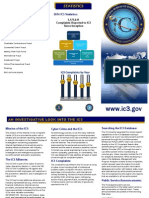 FBI IC3 Complaints of June 2015 Naming Dave Pflumm and Brett Stabley and Brochures November 26, 2015