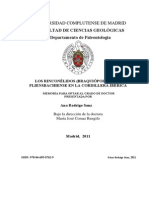 Rodrigo-Sanz (2011) - Rinconélidos (Braquiópodos) Del Pliensbachiense (Jurásico Temprano) en La Cordillera Ibérica PDF