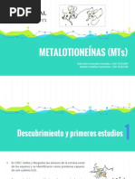 Metalotioneínas (MTS)