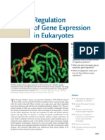 Chapter 11 Gene Expression