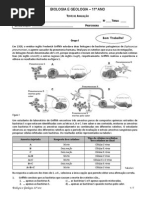 Teste1 bg11 15 16