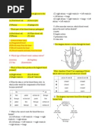 Questions On Cirrculatory System