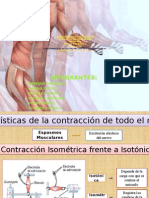 Hiperplasia de Las Fibras Musculares