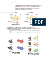 Carry Instructions Be Copied Polynucleotides Nucleotides: Adenine Guanine Thymine Uracil Cytosine