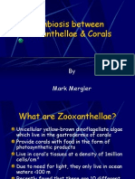 Symbiosis Between Zooxanthellae & Corals