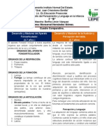 CUADRO COMPARATIVO Desarrollo y Madurez Del Aparato Fonoarticulador. (0-7 Años) Desarrollo y Madurez de La Audición y Percepción Del Habla. (0-7 Años)