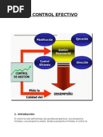 Control Efectivo