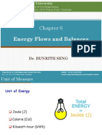 Chapter 6. Energy Flows and Balances