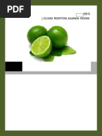 Perfil de Mercado Del Limon PERSA en El Mercado de España .