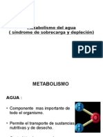 Metabolismo Agua