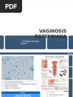 Vaginosis Bacteriana