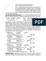 Focus Particles, Scope, and Reconstruction in Korean