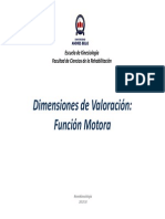 Dimensiones de Valoración Motora (MIS-WEEFIM-FAM)