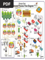 Hydromet Process Flow Diagram: Olympic Dam