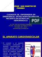 Cuidado de Enfermeria en Shock Hemorragico