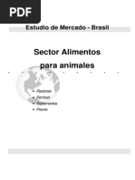 Sector de Alimentos Concentrados en Brasil