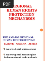 Regional Human Rights System-123