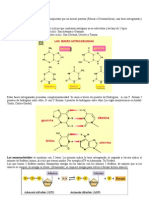 NUCLEÓTIDOS