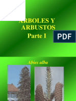 Arboles y Arbusto Parte I