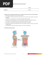 Actividades Tema01 ANATOMOFISIOLOGIA