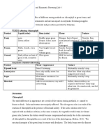 Pigment Lab Report PDF