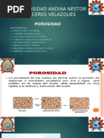 Contaminacion de Suelos Porosidad