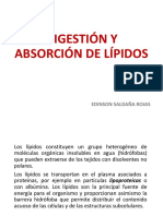 001-Digestión y Absorción de Lípidos