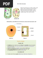 02 Cells Biology Notes IGCSE 2014