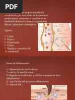 Presentación de Proceso Inflamatorio.