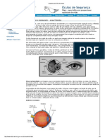 Anatomia Do Olho Humano