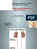 Pielonefritis Aguda en El Embarazo