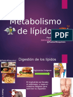 Metabolismo de Lipidos Clase