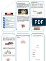 Triptico La Respiracion de Los Animales