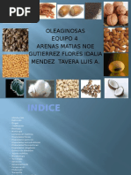 Informacion Oleaginosas