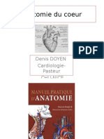 Anatomie Du Coeur