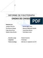 Informe de Fisioterapia