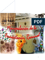 Manipulación de La Fermentación Ruminal (Libro)