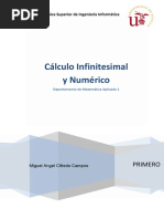 CIN - Cálculo Infinitesimal y Numérico