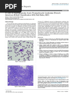 A Case of Hypergranular Acute Promyelocytic Leukemia Frenchamericanbritish Classification