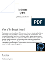 Skeletal System