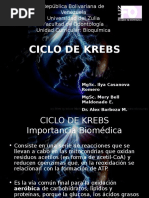  Ciclo de Krebs