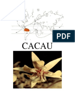 Ficha Pedagógica - Cacau 1 - Pa